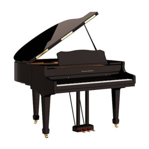 Baby Grand Piano Fundraiser